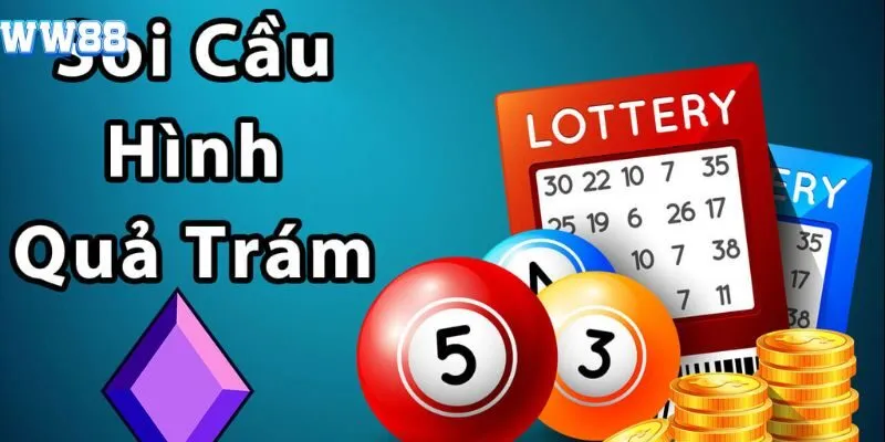Khám phá soi cầu quả trám là gì?